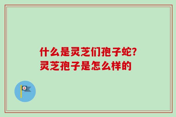 什么是灵芝们孢子蛇？灵芝孢子是怎么样的
