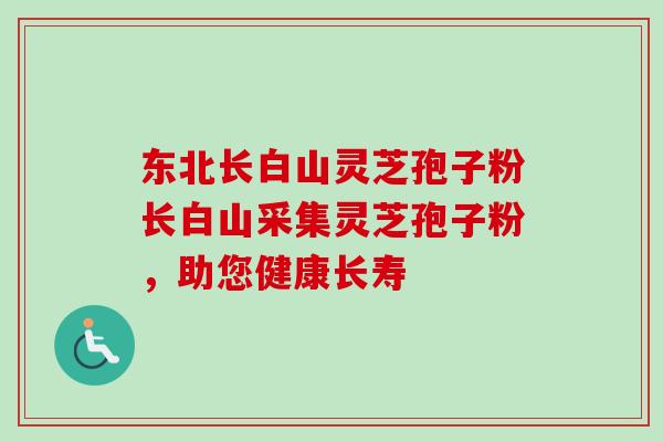 东北长白山灵芝孢子粉长白山采集灵芝孢子粉，助您健康长寿
