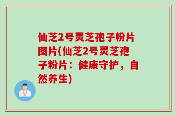 仙芝2号灵芝孢子粉片图片(仙芝2号灵芝孢子粉片：健康守护，自然养生)