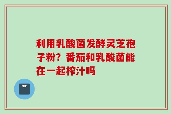 利用乳酸菌发酵灵芝孢子粉？番茄和乳酸菌能在一起榨汁吗