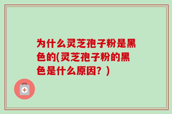 为什么灵芝孢子粉是黑色的(灵芝孢子粉的黑色是什么原因？)