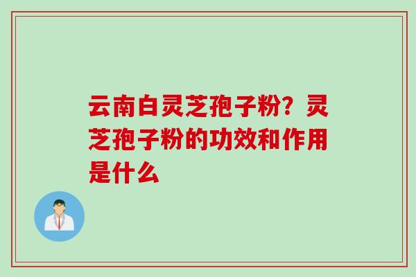云南白灵芝孢子粉？灵芝孢子粉的功效和作用是什么