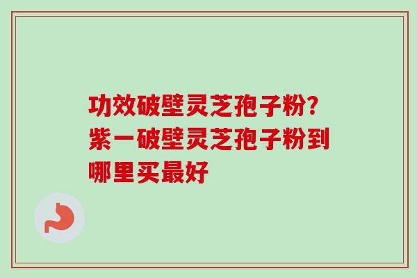 功效破壁灵芝孢子粉？紫一破壁灵芝孢子粉到哪里买最好