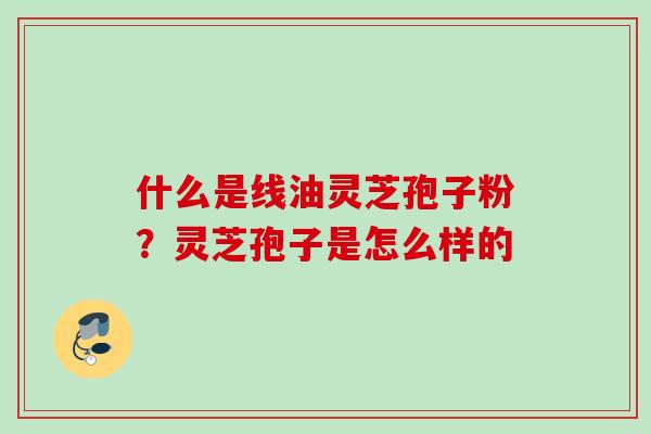 什么是线油灵芝孢子粉？灵芝孢子是怎么样的