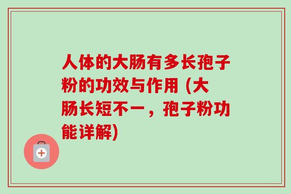 人体的大肠有多长孢子粉的功效与作用 (大肠长短不一，孢子粉功能详解)