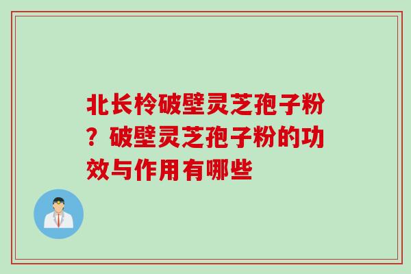 北长柃破壁灵芝孢子粉？破壁灵芝孢子粉的功效与作用有哪些