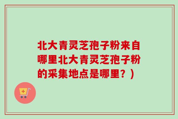北大青灵芝孢子粉来自哪里北大青灵芝孢子粉的采集地点是哪里？)