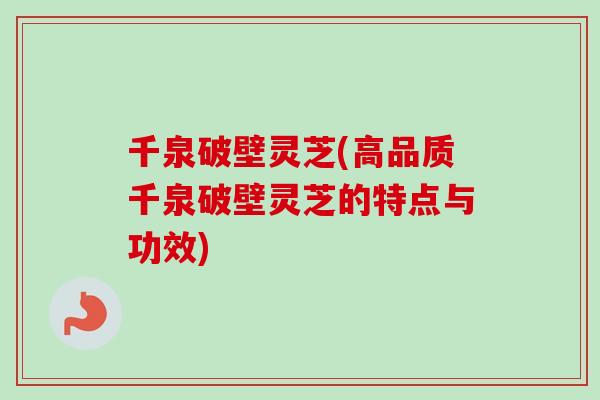 千泉破壁灵芝(高品质千泉破壁灵芝的特点与功效)