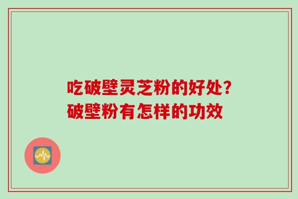 吃破壁灵芝粉的好处？破壁粉有怎样的功效