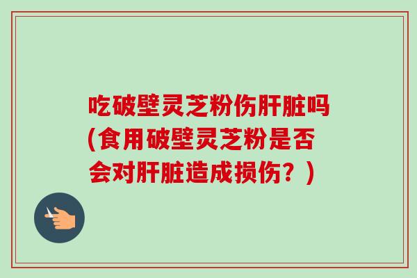 吃破壁灵芝粉伤肝脏吗(食用破壁灵芝粉是否会对肝脏造成损伤？)