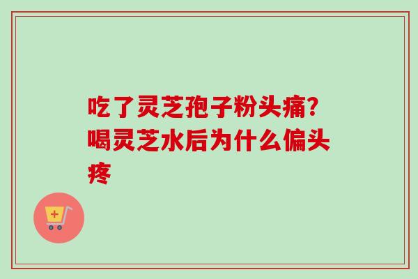 吃了灵芝孢子粉头痛?喝灵芝水后为什么偏头疼 吃了灵芝孢子粉头痛?喝灵芝水后为什么偏头疼