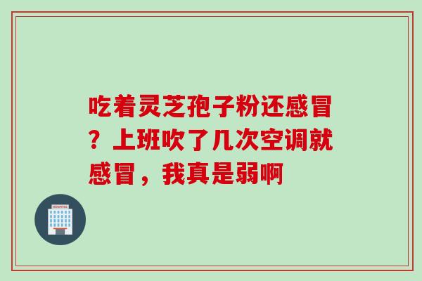 吃着灵芝孢子粉还?上班吹了几次空调就,我真是弱啊 吃着灵芝孢子粉还?上班吹了几次空调就,我真是弱啊