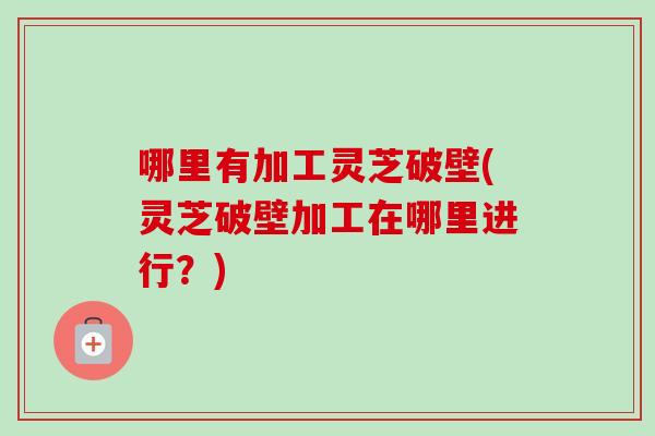 哪里有加工灵芝破壁(灵芝破壁加工在哪里进行？)