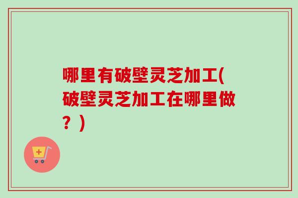 哪里有破壁灵芝加工(破壁灵芝加工在哪里做？)