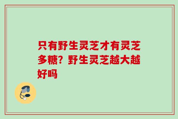 只有野生灵芝才有灵芝多糖？野生灵芝越大越好吗