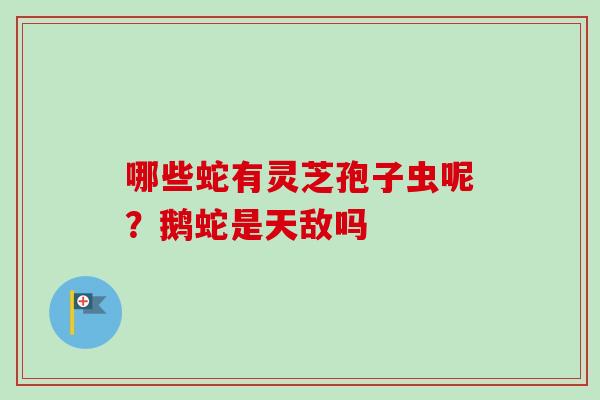 哪些蛇有灵芝孢子虫呢？鹅蛇是天敌吗
