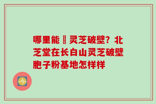 哪里能給灵芝破壁？北芝堂在长白山灵芝破壁胞子粉基地怎样样