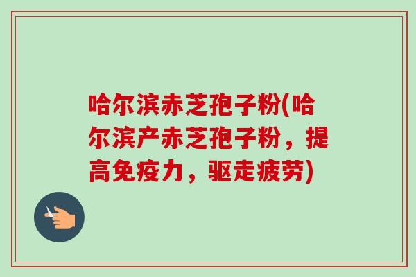 哈尔滨赤芝孢子粉(哈尔滨产赤芝孢子粉,提高免疫力,驱走疲劳) 哈尔滨赤芝孢子粉(哈尔滨产赤芝孢子粉,提高免疫力,驱走疲劳)