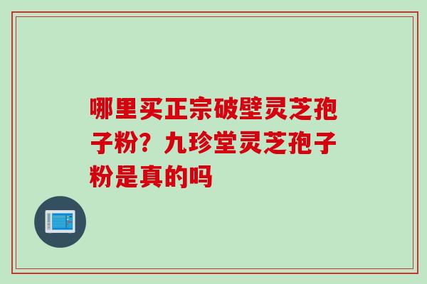 哪里买正宗破壁灵芝孢子粉？九珍堂灵芝孢子粉是真的吗