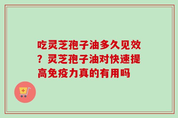 吃灵芝孢子油多久见效？灵芝孢子油对快速提高免疫力真的有用吗