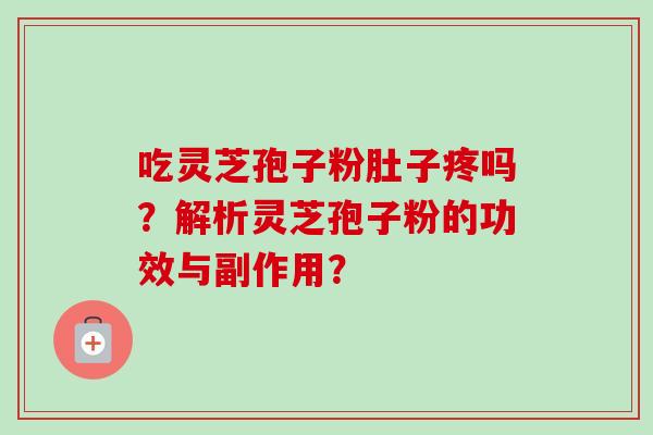 吃灵芝孢子粉肚子疼吗？解析灵芝孢子粉的功效与副作用？
