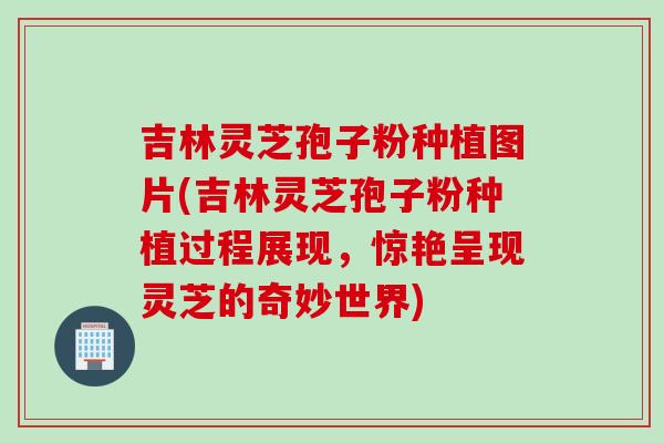 吉林灵芝孢子粉种植图片(吉林灵芝孢子粉种植过程展现，惊艳呈现灵芝的奇妙世界)