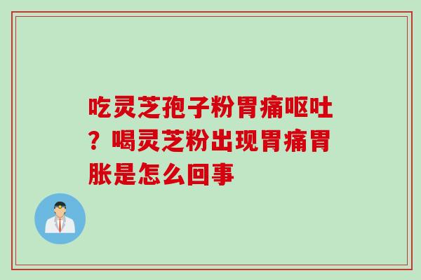 吃灵芝孢子粉胃痛？喝灵芝粉出现胃痛胃胀是怎么回事