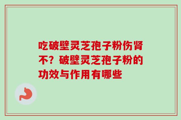 吃破壁灵芝孢子粉伤肾不？破壁灵芝孢子粉的功效与作用有哪些