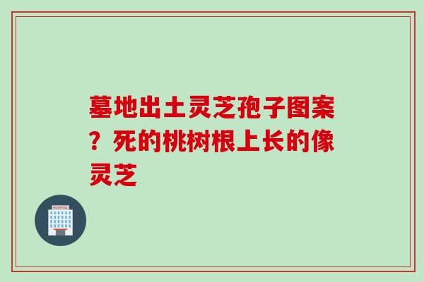 墓地出土灵芝孢子图案？死的桃树根上长的像灵芝