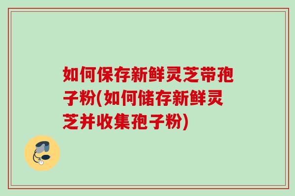 如何保存新鲜灵芝带孢子粉(如何储存新鲜灵芝并收集孢子粉)