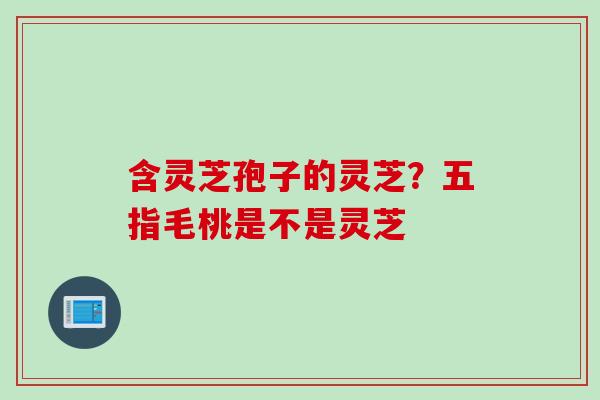 含灵芝孢子的灵芝？五指毛桃是不是灵芝