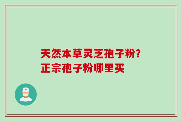 天然本草灵芝孢子粉？正宗孢子粉哪里买