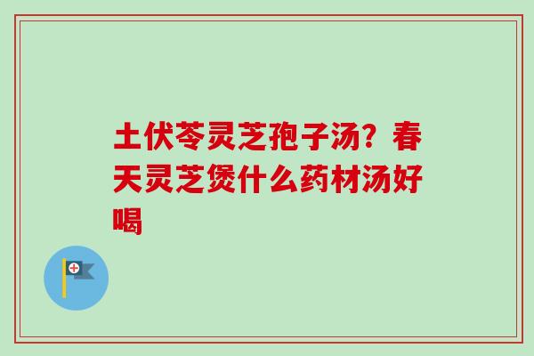 土伏苓灵芝孢子汤？春天灵芝煲什么药材汤好喝