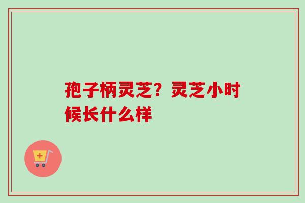 孢子柄灵芝?灵芝小时候长什么样 孢子柄灵芝?灵芝小时候长什么样