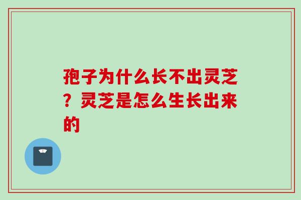 孢子为什么长不出灵芝?灵芝是怎么生长出来的 孢子为什么长不出灵芝?灵芝是怎么生长出来的
