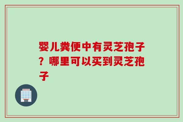 婴儿粪便中有灵芝孢子？哪里可以买到灵芝孢子