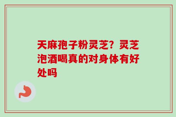 天麻孢子粉灵芝？灵芝泡酒喝真的对身体有好处吗