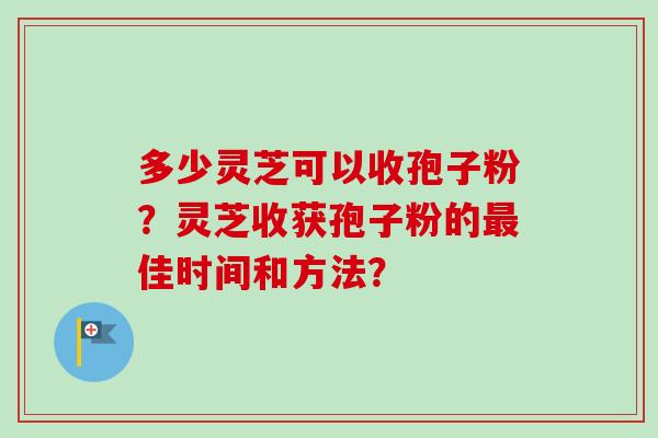 多少灵芝可以收孢子粉？灵芝收获孢子粉的最佳时间和方法？