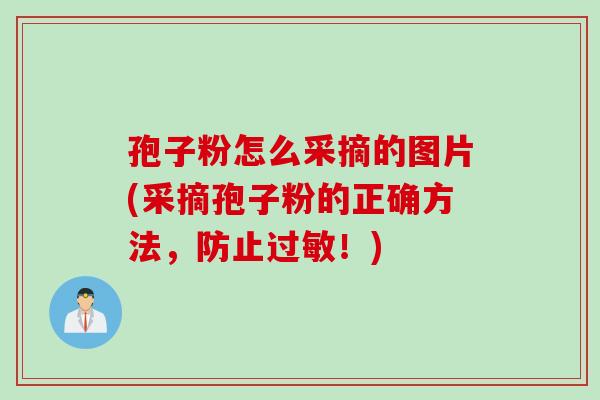 孢子粉怎么采摘的图片(采摘孢子粉的正确方法，防止过敏！)