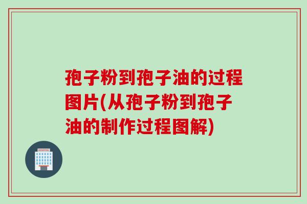孢子粉到孢子油的过程图片(从孢子粉到孢子油的制作过程图解)