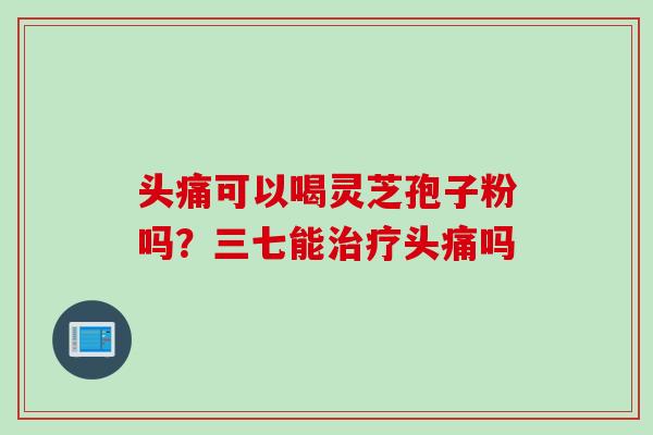 头痛可以喝灵芝孢子粉吗?三七能头痛吗 头痛可以喝灵芝孢子粉吗?三七能头痛吗