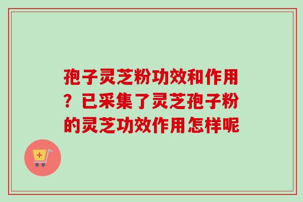 孢子灵芝粉功效和作用？已采集了灵芝孢子粉的灵芝功效作用怎样呢