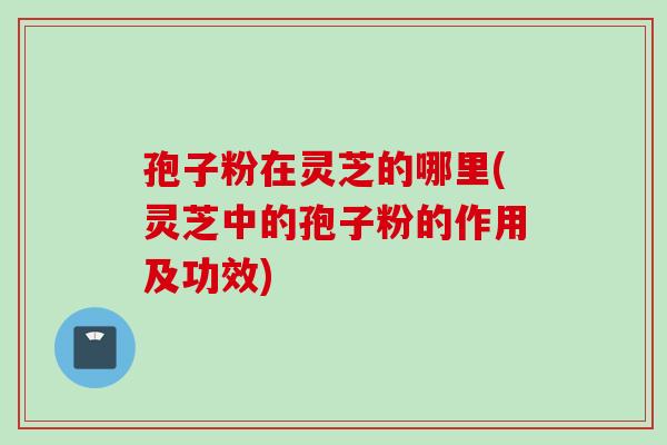 孢子粉在灵芝的哪里(灵芝中的孢子粉的作用及功效)