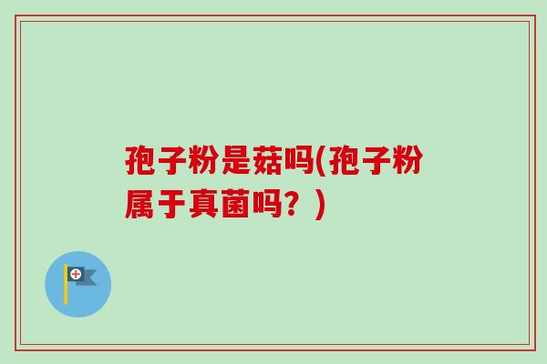 孢子粉是菇吗(孢子粉属于真菌吗？)