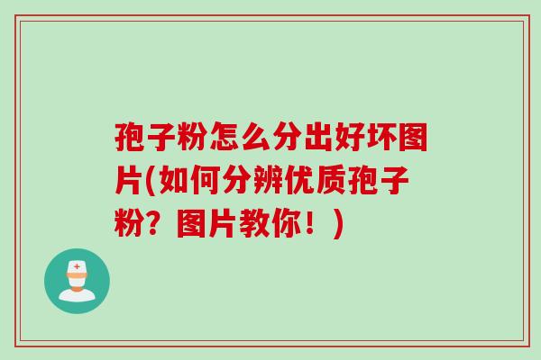 孢子粉怎么分出好坏图片(如何分辨优质孢子粉？图片教你！)
