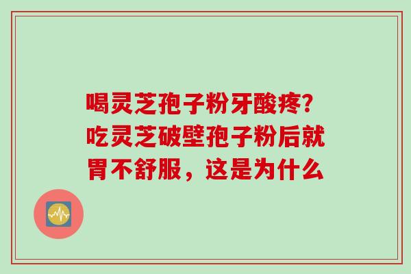 喝灵芝孢子粉牙酸疼？吃灵芝破壁孢子粉后就胃不舒服，这是为什么