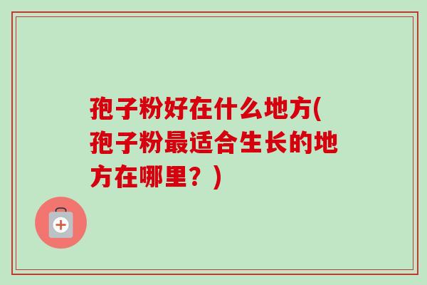 孢子粉好在什么地方(孢子粉最适合生长的地方在哪里？)