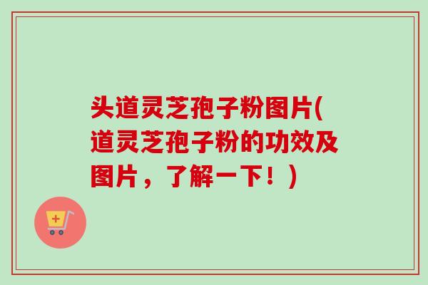 头道灵芝孢子粉图片(道灵芝孢子粉的功效及图片，了解一下！)