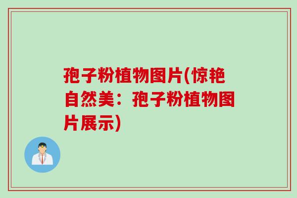 孢子粉植物图片(惊艳自然美：孢子粉植物图片展示)