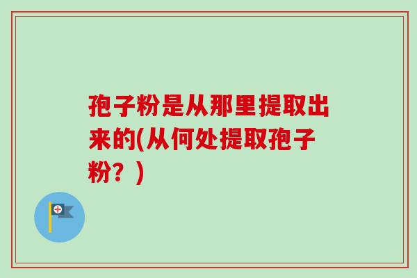孢子粉是从那里提取出来的(从何处提取孢子粉？)